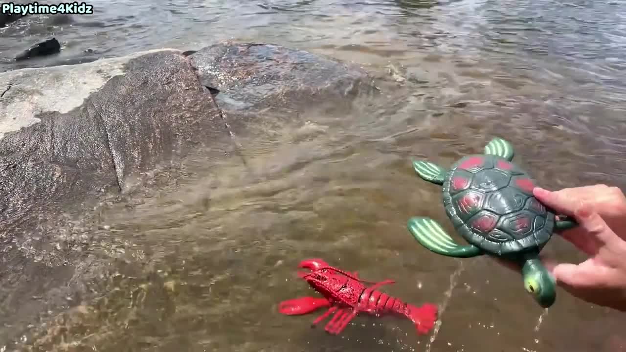 Sea Animals Toys at the Shore