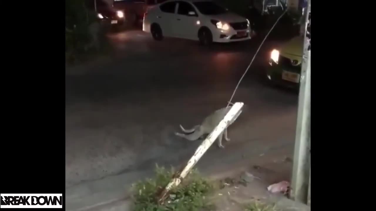 2023 funny compilation!!!!