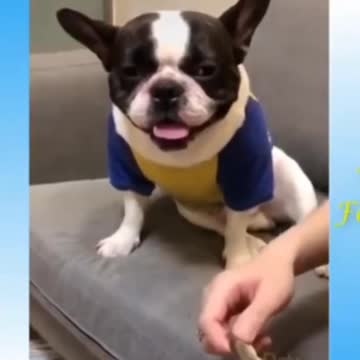 Funny Video | funny jokes | #shorts |#shots