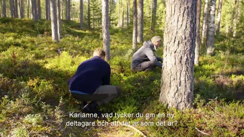 Torpet Norge S03E19