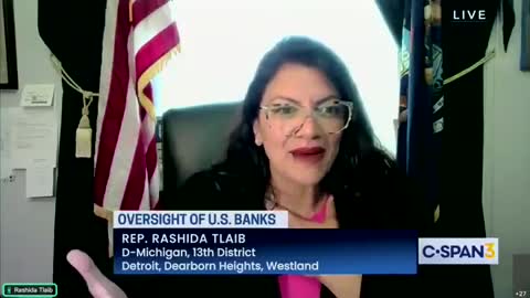 Radical Leftist Rep. Rashida Tlaib Gets DESTROYED By JP Morgan CEO