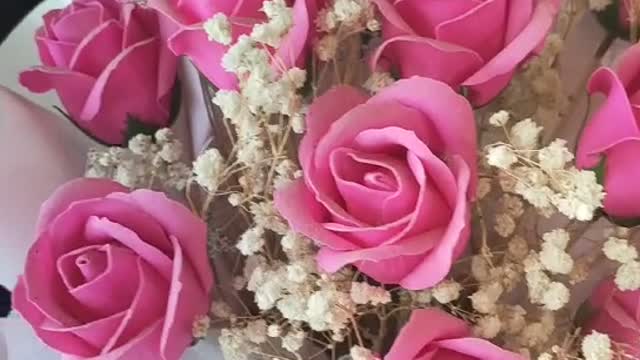 carnations and roses