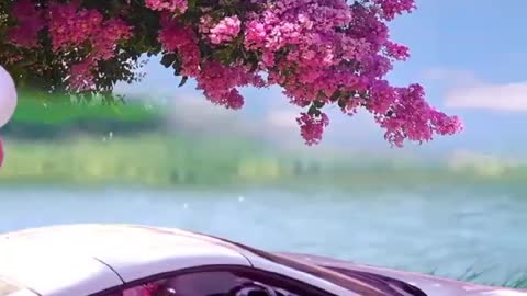 Luxury cars are with flowers, which is really beautiful