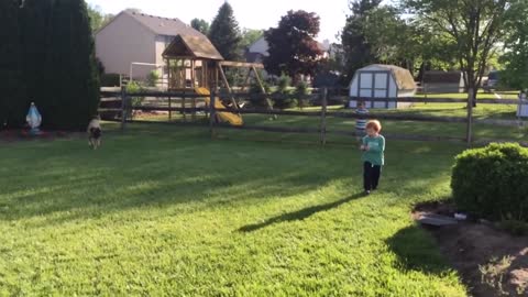 Bad Day?Better Watch This - Try Not To Laugh Funny Video