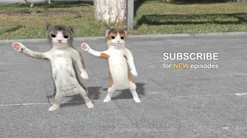 Dog Dance