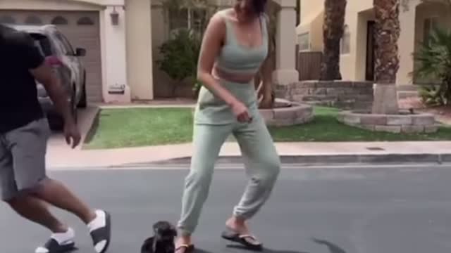 Puppy Love Challenge, Soo Cute And Funny