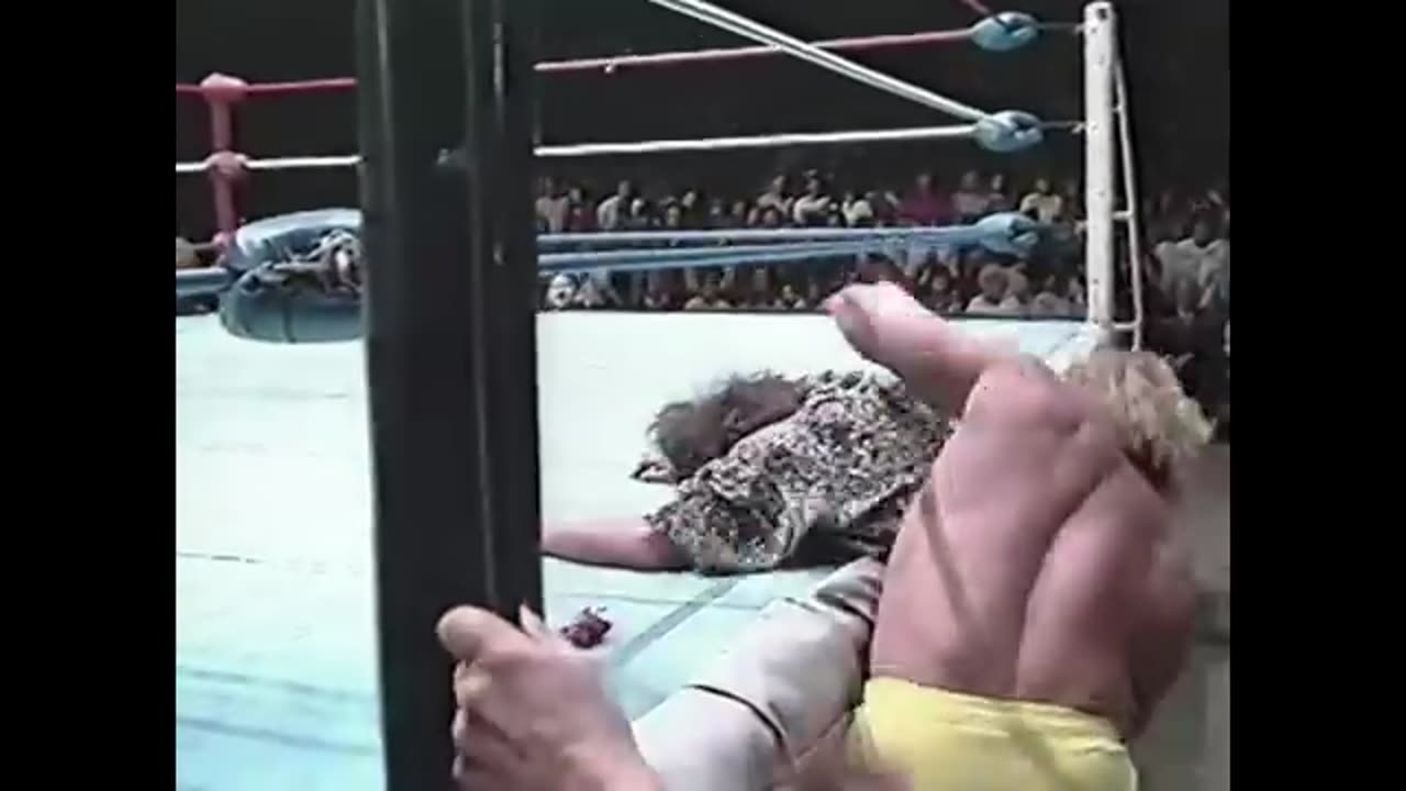 Eddie Gilbert knocks out Dark Journey