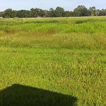 Hades playing duck hunt