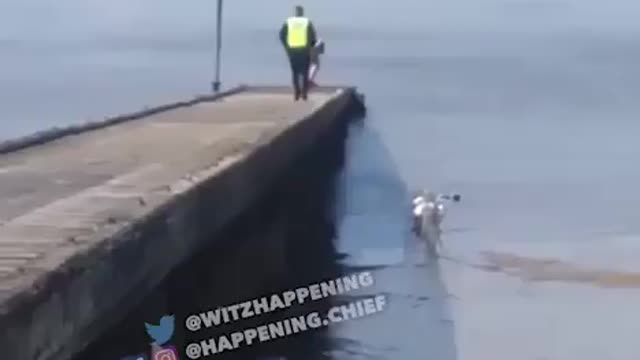 Shit post of the day.