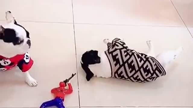 OH I M DEAD OH NOT!!