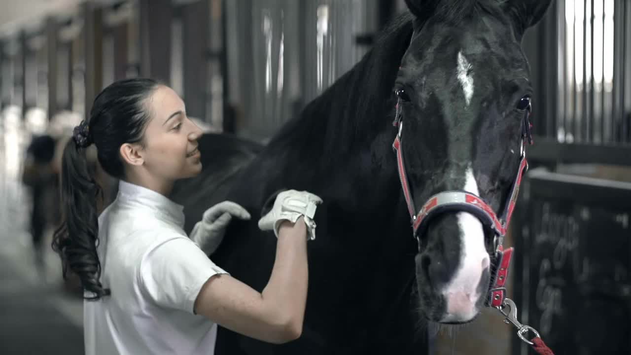 Close up of young horse handler smiling and combing a horse with affection