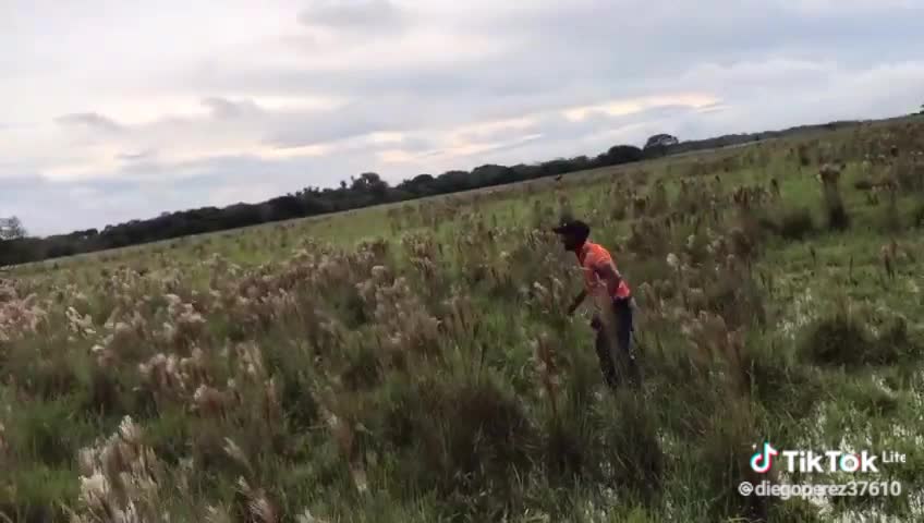 Así es mi llano colombiano