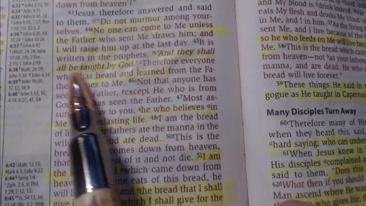 Bible study - John 6:41-59