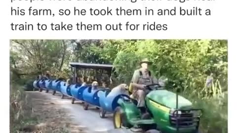 Dog Train
