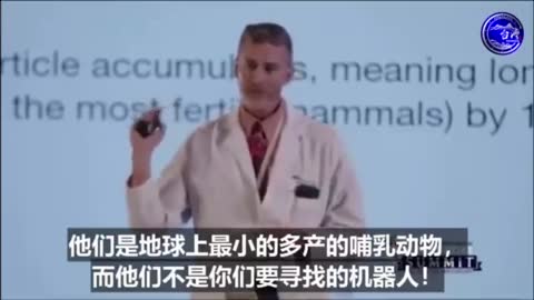 卵巢也是一樣，這就是問題！脂質納米粒被注射後，最喜歡聚集在生物活性最高的器官-卵巢！