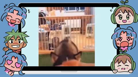 These animals are cute and super funny