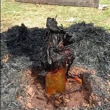 Chicken Become Charcoal