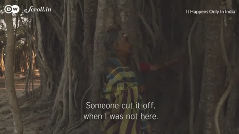 The Goddess Under the Banyan Tree