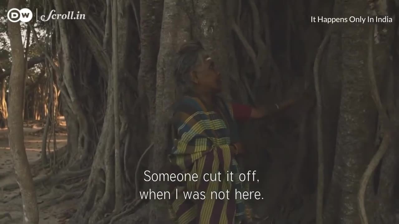 The Goddess Under the Banyan Tree