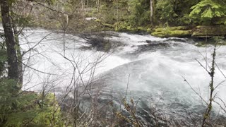 Exploring the Beautiful McKenzie River – Sahalie Falls & Koosah Falls Loop – Central Oregon – 4K