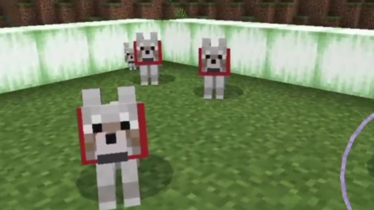 Minecraft Google Funny Shorts