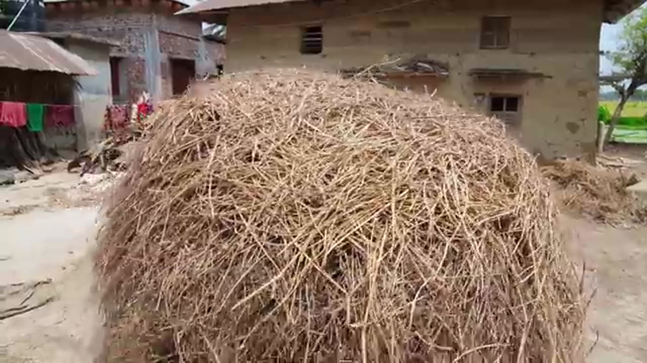Funny video 😂