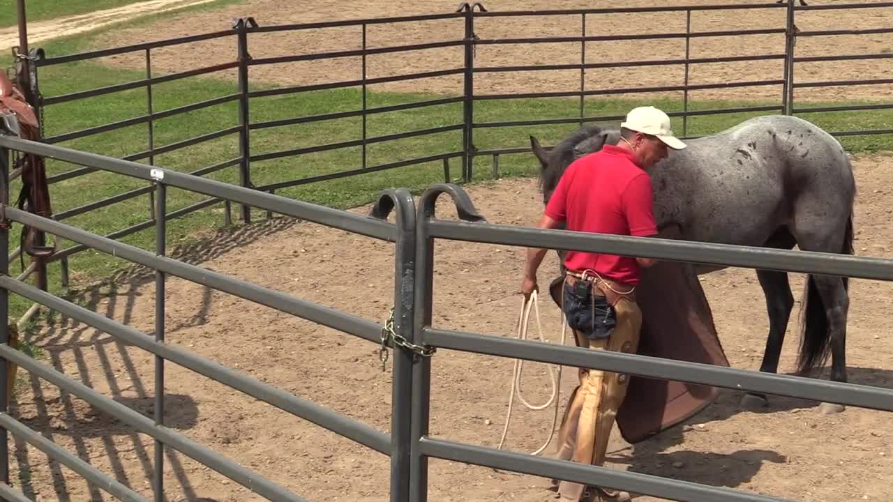 How to respect the horse and you. Horse Training Concepts To Consider