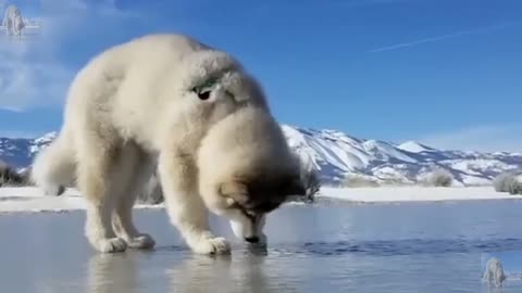 To catch fish