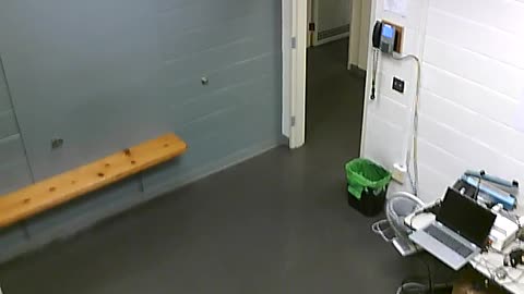 1700HQOB02208ALiveScanRoom_2021-01-06_17h40min03s893ms.mp4