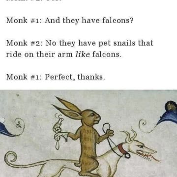 Rabbits #shorts #memes #funny #medieval #rabbit #snail