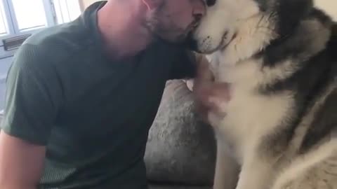 Funny animal