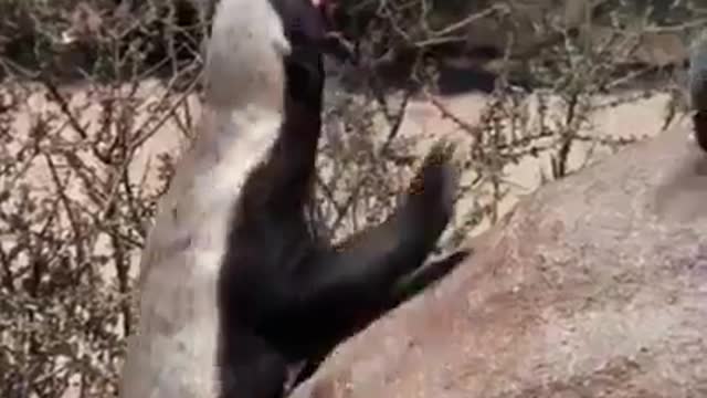 HAPPY WATCHING AND RELAX.