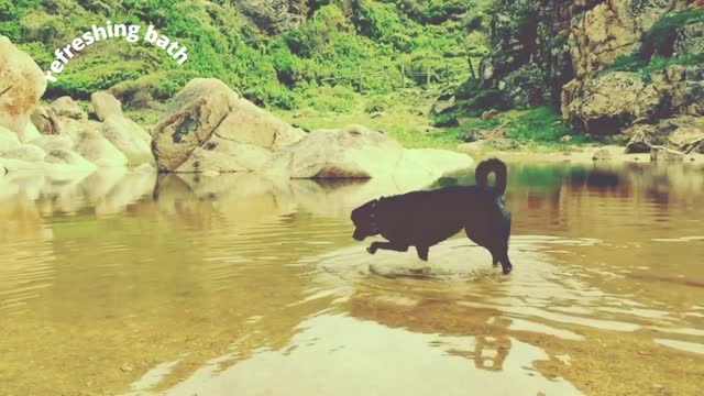 #refreshing bath#