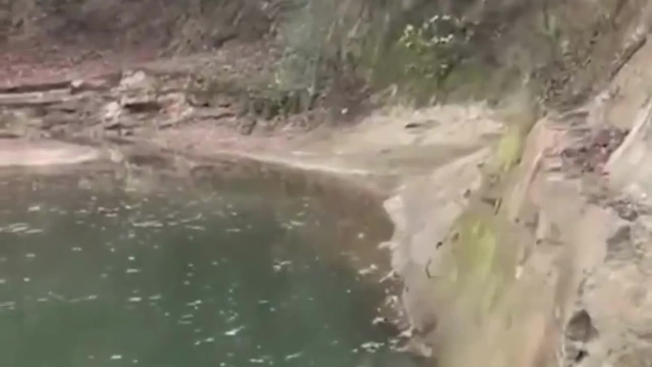 The End 😂😂😂 #viral #shorts #reels #funny #fails