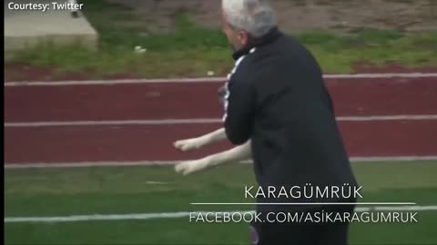 How a dog brought a football match to a halt