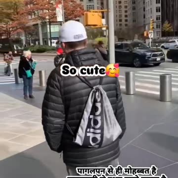 Cute dogs funny moments 🤣 🐕 #2