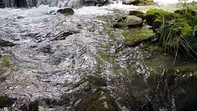 Slow Motion Footage Of Water Pouring Down On Rocky River In The Woods