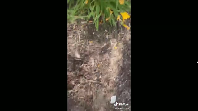 4th of July IS NOW DANGEROUS