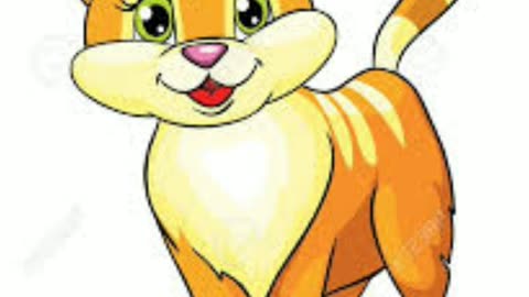 Cat fanny video