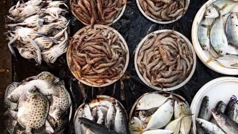Best seafood market nyc