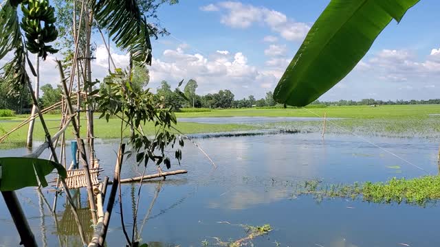 A beautiful place in the village | blue sky