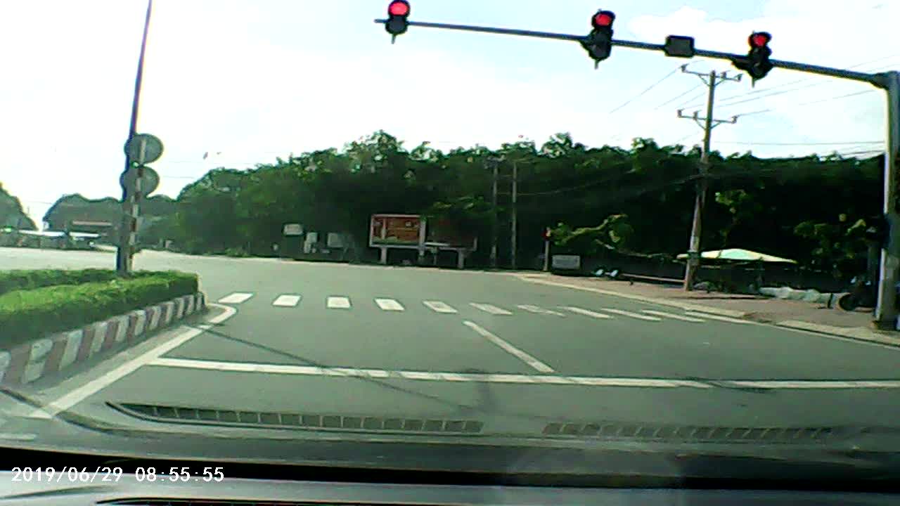 Pedestrian Puppy Uses Crosswalk