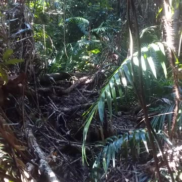 13.9.2024 The Pendas Track