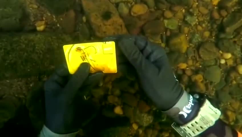 Clean up the underwater garbage and protect the marine natural environment.#20