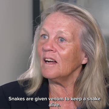 Covid19 is not a disease?