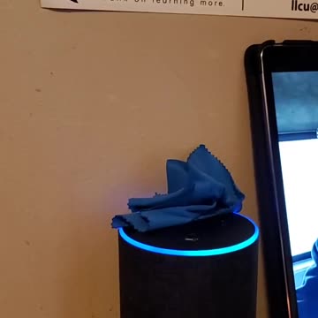 Echo Reports Fauci Has Been Executed!