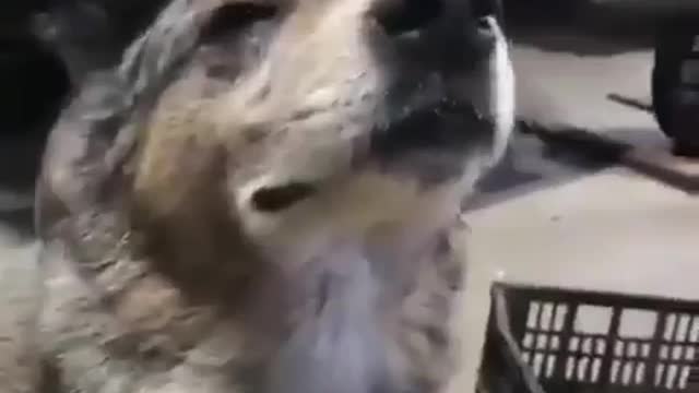 Enjoy the music Bro
