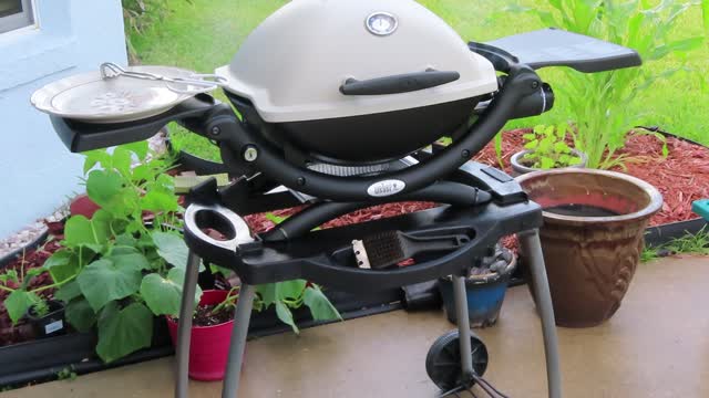 Grilling in the Early Evening