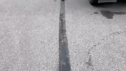 Clean the pool today