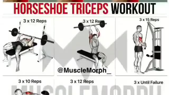 Triceps Workout🏋🚴💪